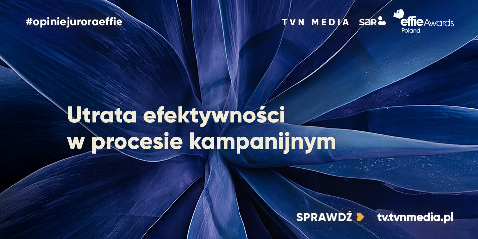 960x480_sar.org.pl+wwweffie