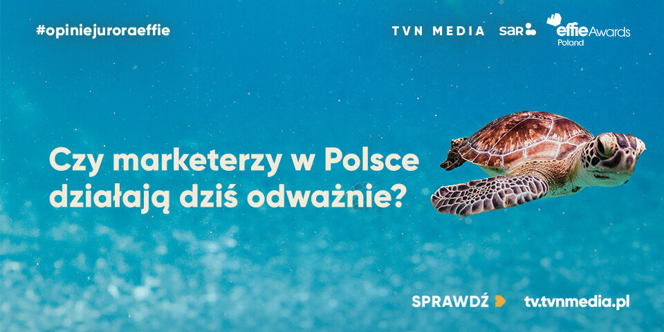 960x480_sar.org.pl+wwweffie