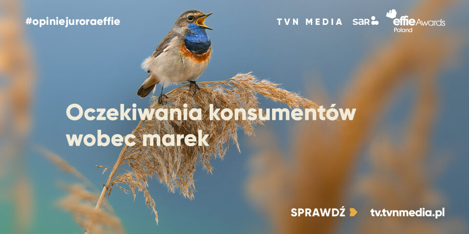 960x480_sar.org.pl+wwweffie
