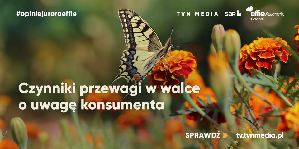 960x480_sar.org.pl+wwweffie