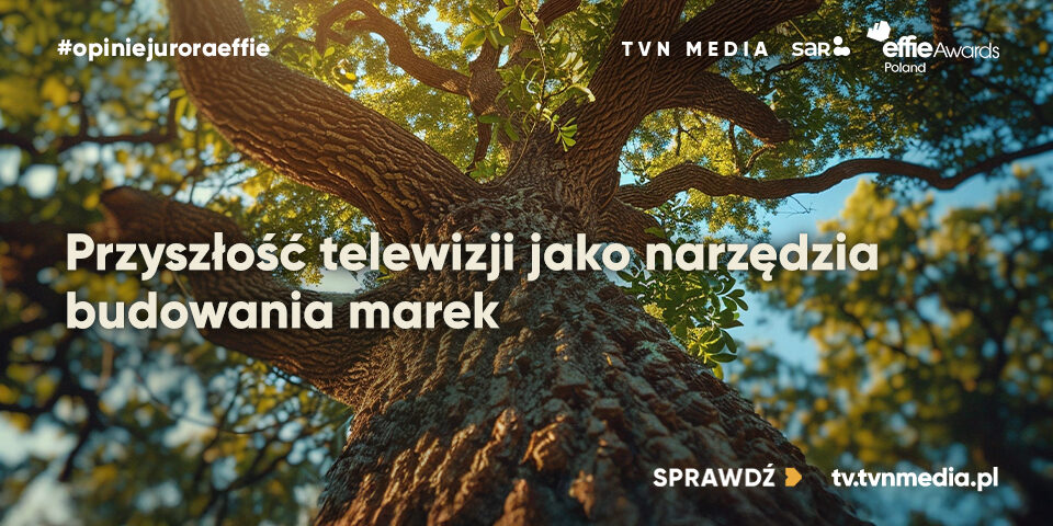 960x480_sar.org.pl+wwweffie