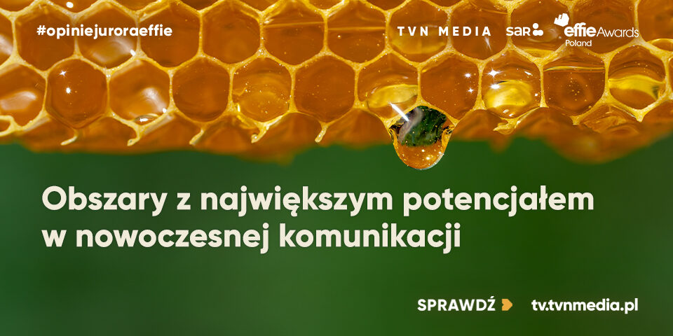 960x480_sar.org.pl+wwweffie
