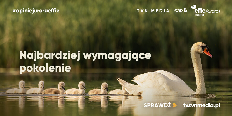 960x480_sar.org.pl+wwweffie