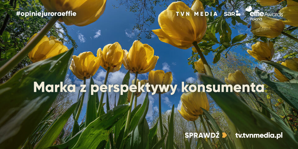 960x480_sar.org.pl+wwweffie